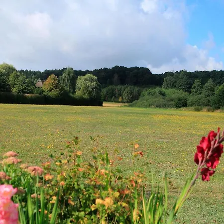 Insel Ruegen 別荘 Pantow