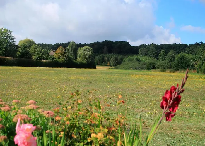 Insel Ruegen 別荘 Pantow